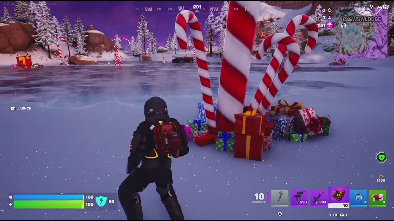 Fortnite: 4 Wins, 1 Day