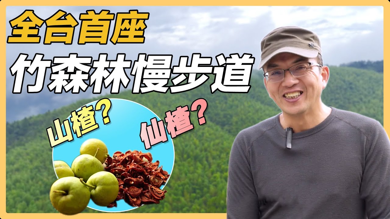 【雲林古坑】台灣山楂＋石壁香糖＋冬筍春筍｜有機無毒｜415｜＃美麗心台灣