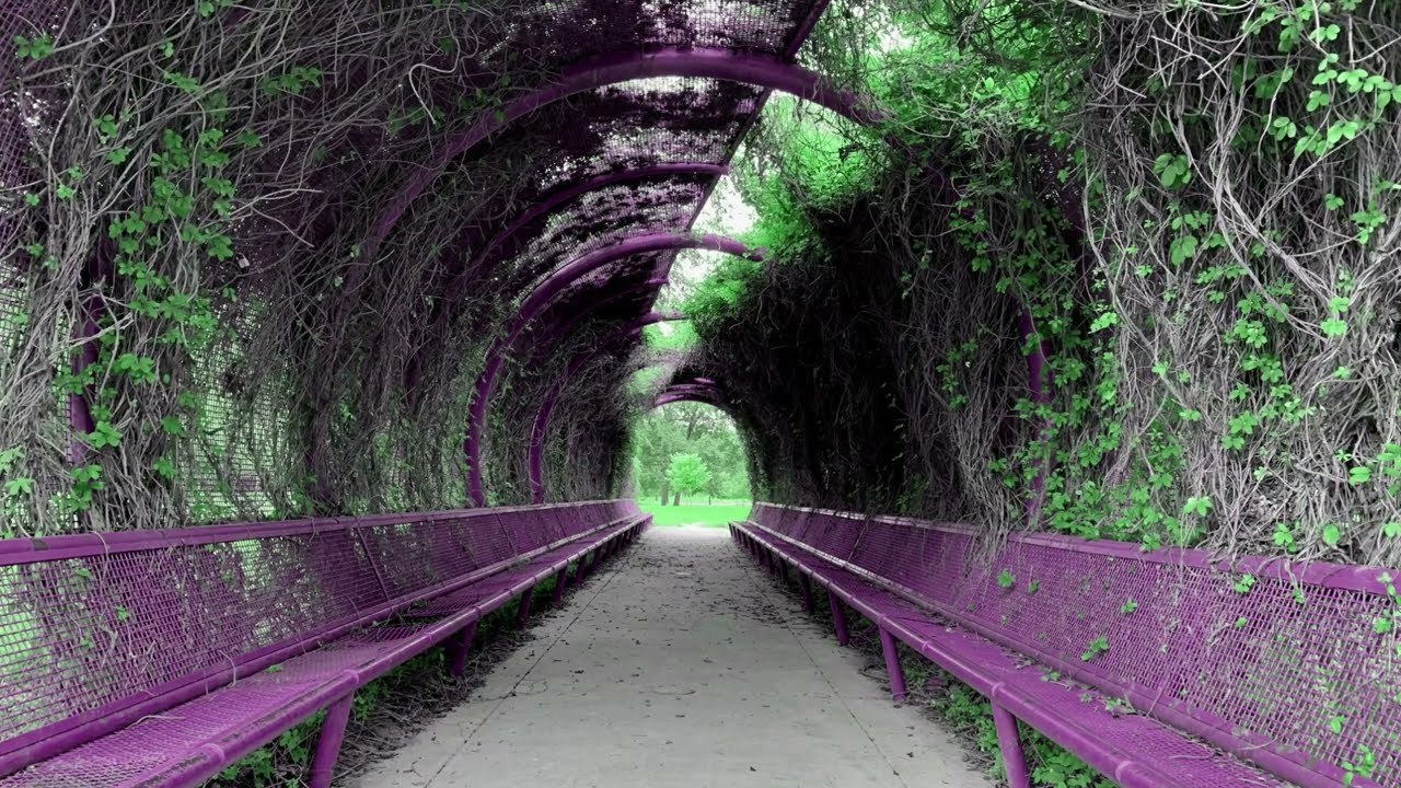 Vivaldi - Concerto for 4 Violins in B Minor, 1st Movement (Synth by Sirgabealot G)