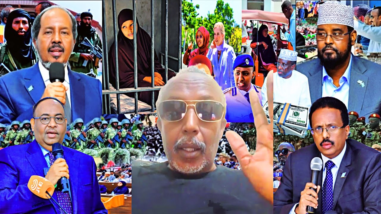 Waa maxay sababta uu Madaxweyne Farmaajo xiligiisii uu dib iskaga dhigay Dastuurka.