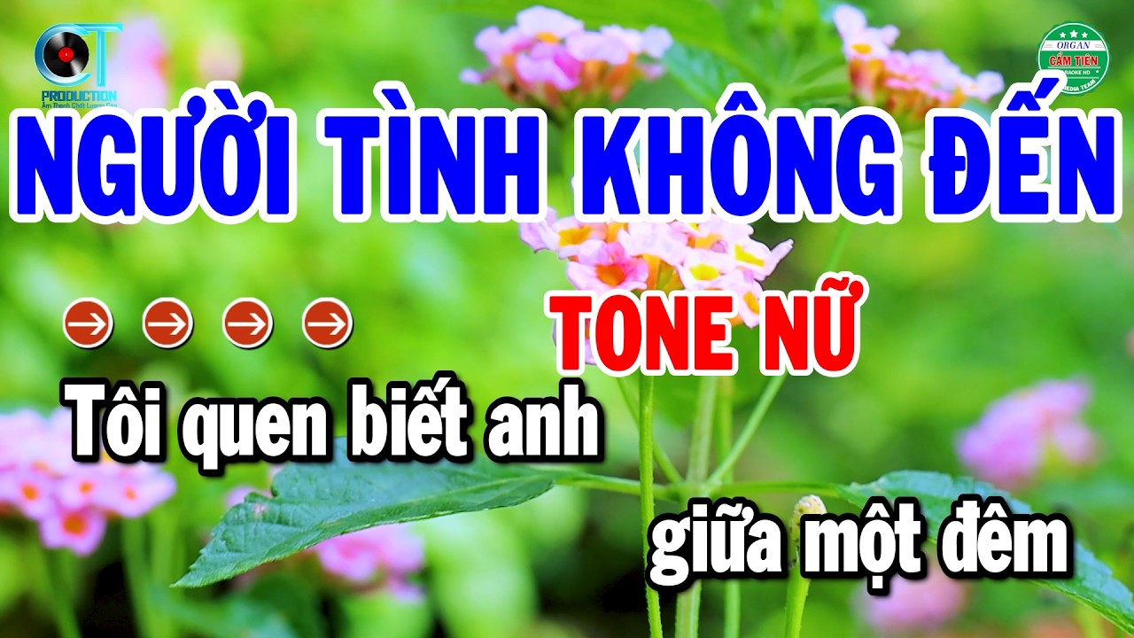 Karaoke Người Tình Không Đến Tone Nữ Nhạc Sống Beat Chuẩn 2026 | Cẩm Tiên Organ