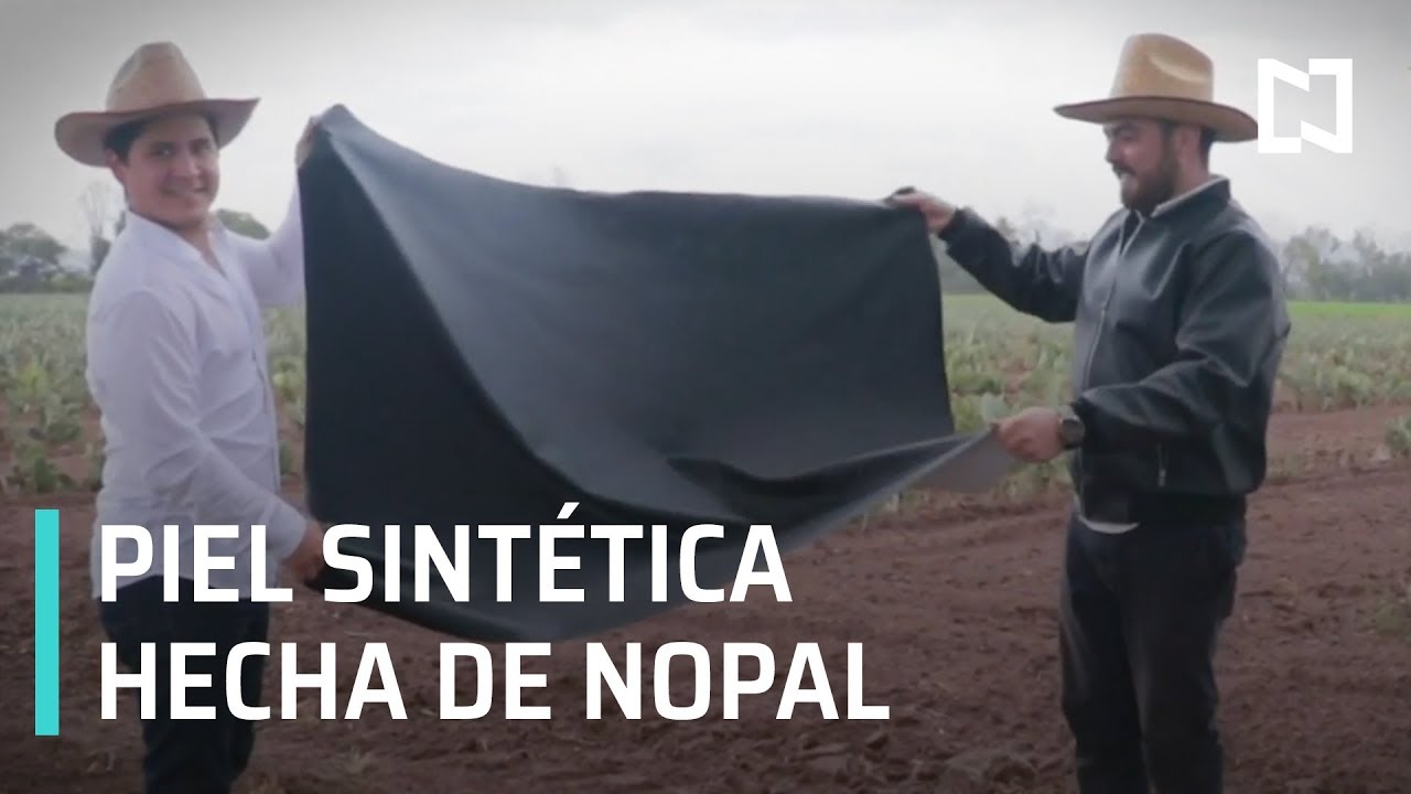 Mexicanos crean piel de Nopal - En Punto