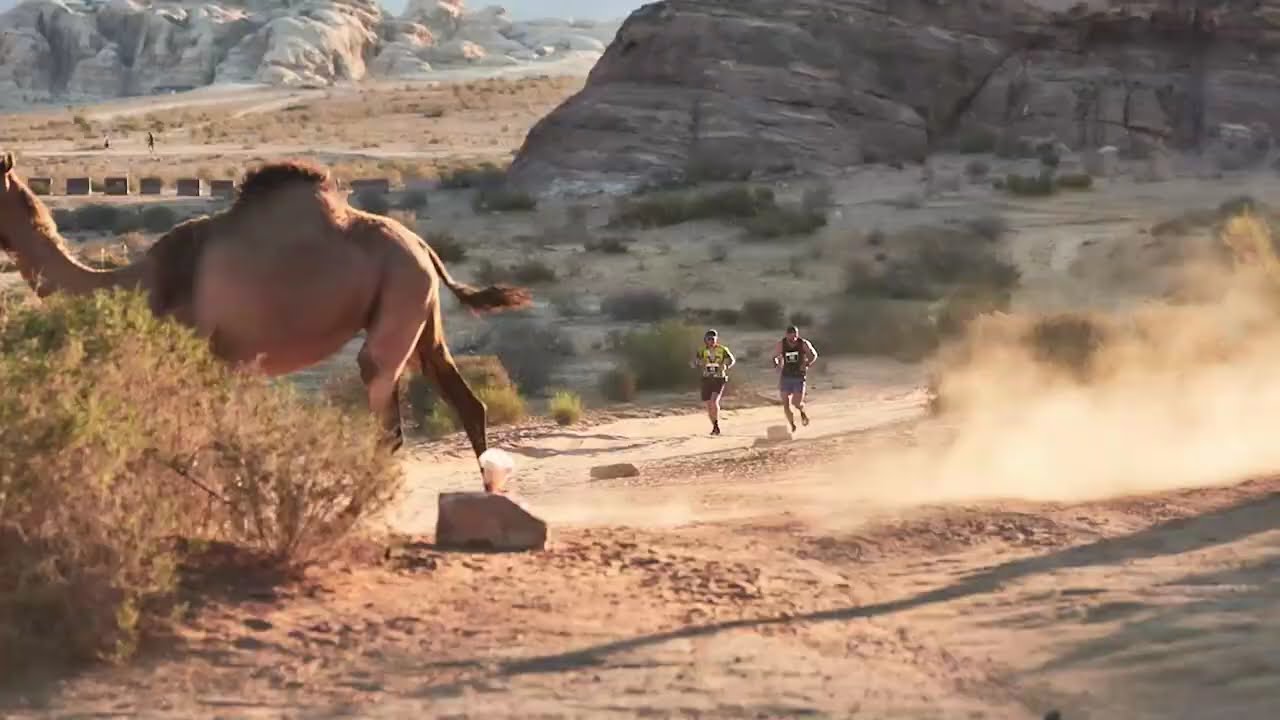 Petra Desert Marathon 2025 Highlights – Running in Ancient Petra, Jordan