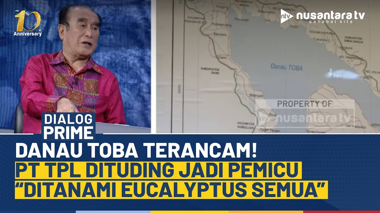 PT TPL Picu Krisis Lingkungan di Danau Toba, Batak Center: Ditanami Eucalyptus..Boros Air | NTV