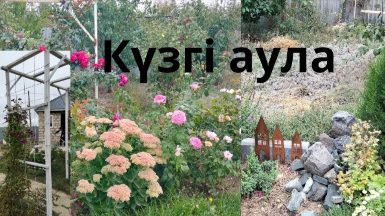 Күзгі аула 😍