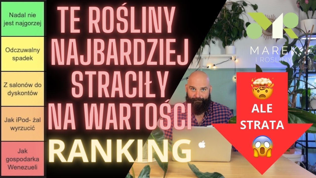 Te rośliny najbardziej STRACIŁY na wartości w ostatnim czasie - RANKING