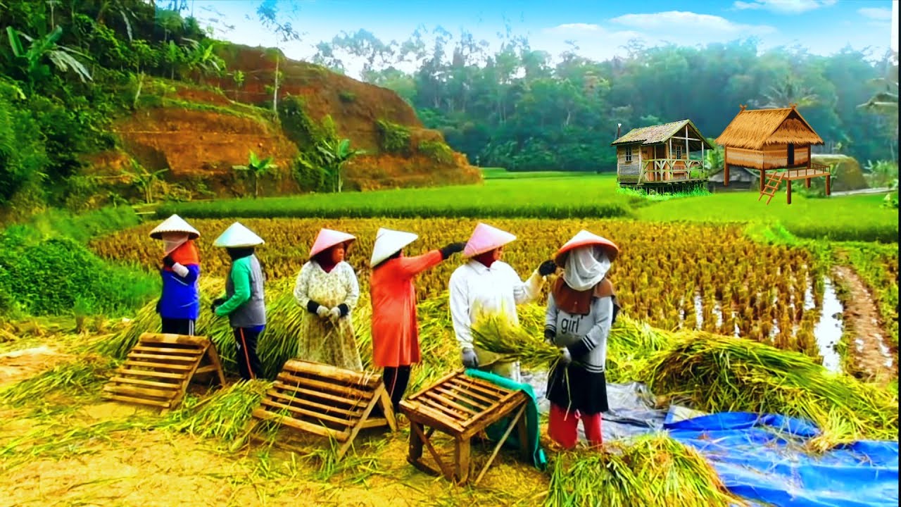 ci BANDUNG Kampung terkecil di kolong langit