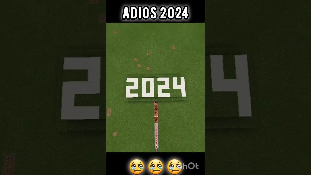 Adios 2024 😢 #adios #adios #craftsman #2024