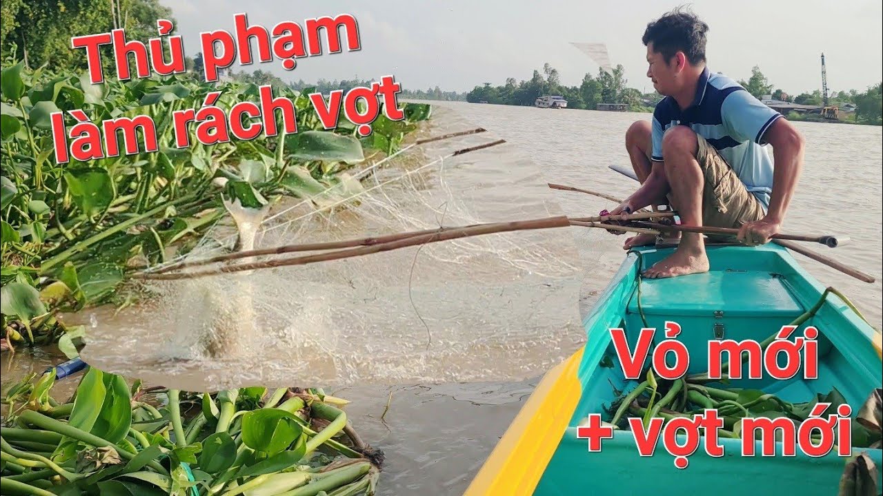Vô nó rồi, dùng cách này mới bắt được hàng khủng làm rách vợt | Săn bắt SÓC TRĂNG |