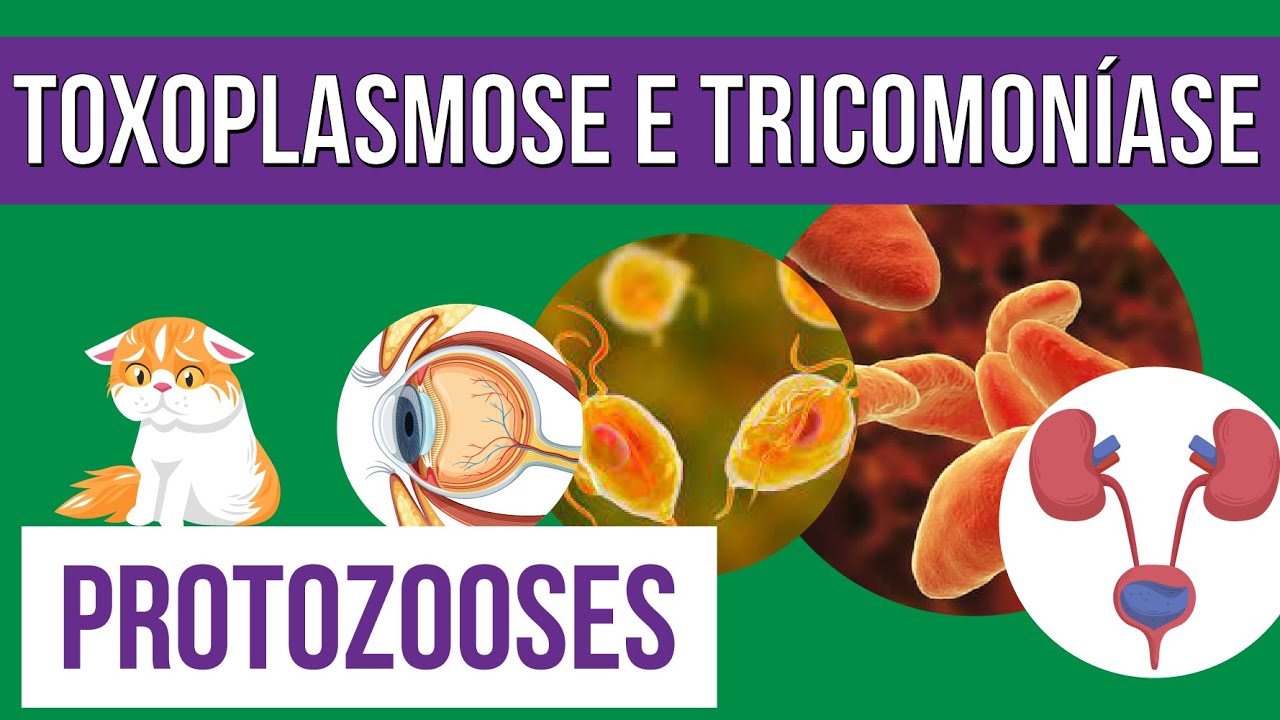 TOXOPLASMOSE e TRICOMONÍASE: Protozooses | Resumo de Biologia para o Enem | Cláudia de Souza Aguiar