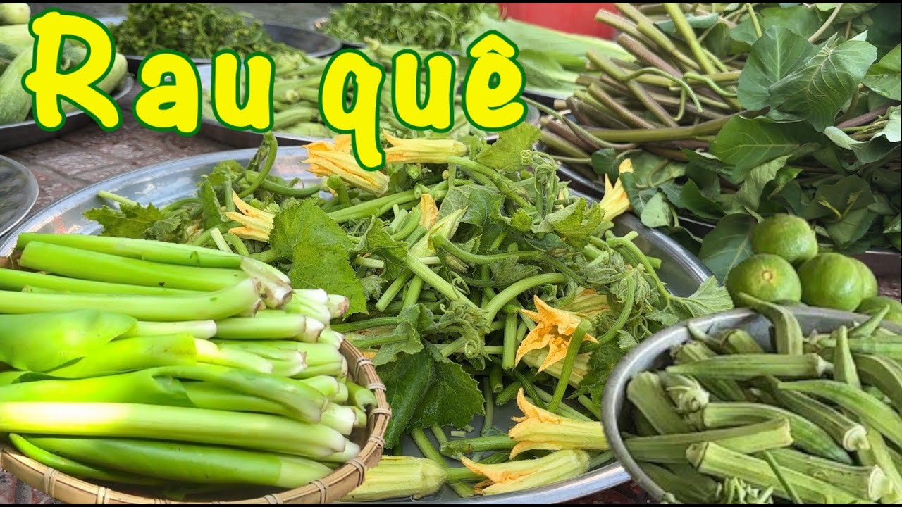 Ngon l&agrave;nh những đọt rau qu&ecirc; - Ai th&egrave;m ai nhớ th&igrave; về miền T&acirc;y| Đặc sản miền s&ocirc;ng nước