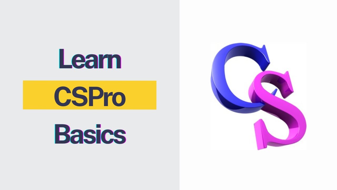Introduction to CSPro: Learn the Basics of Data Entry and Processing