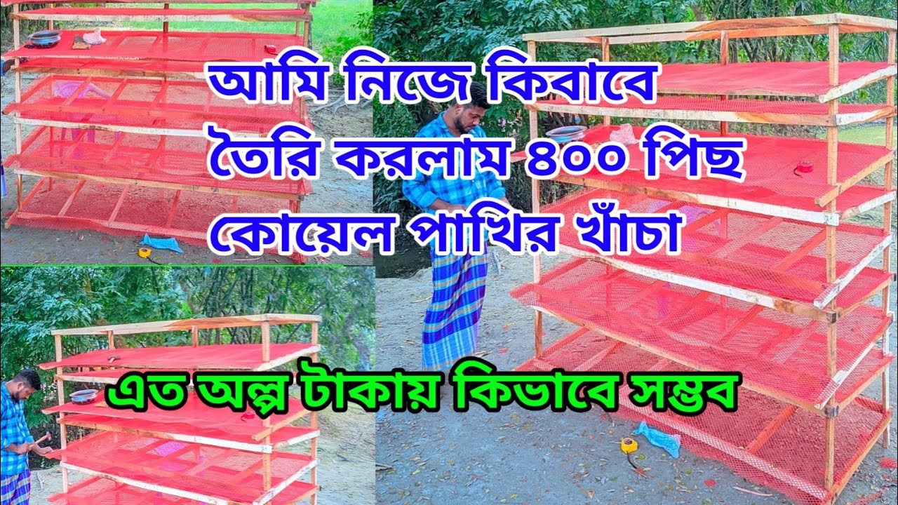 অল্প টাকায় কোয়েল পাখির খাছা বানাবেন কিভাবে 🐤🐦🏠