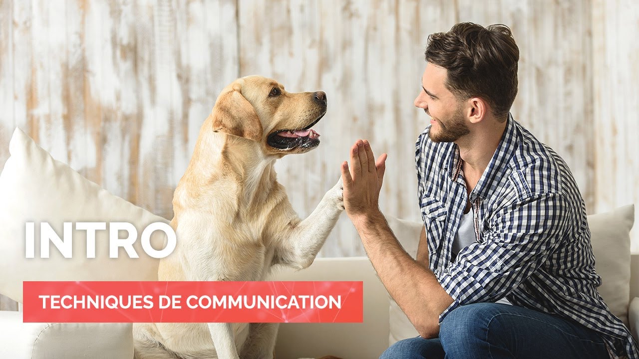 Intro - TECHNIQUES DE COMMUNICATION