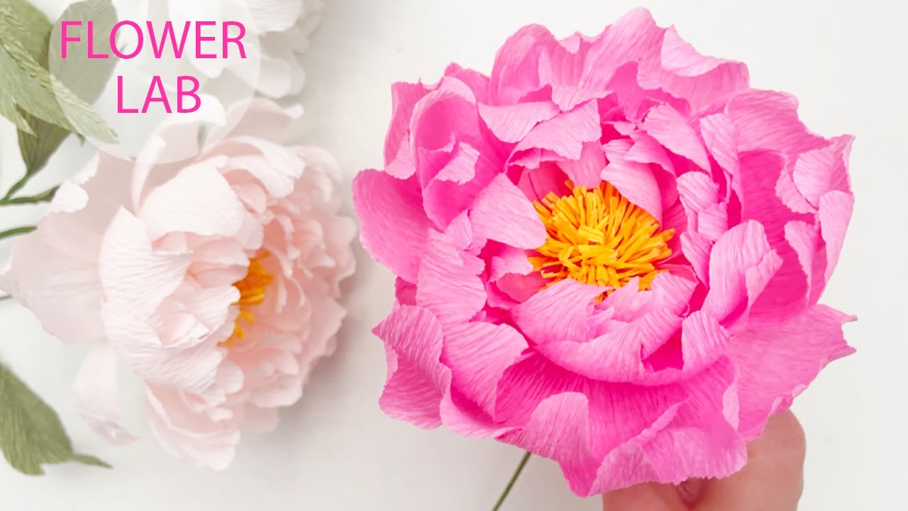 How To Make Peony Paper Flower | Real Paper Peony | Flower Lab