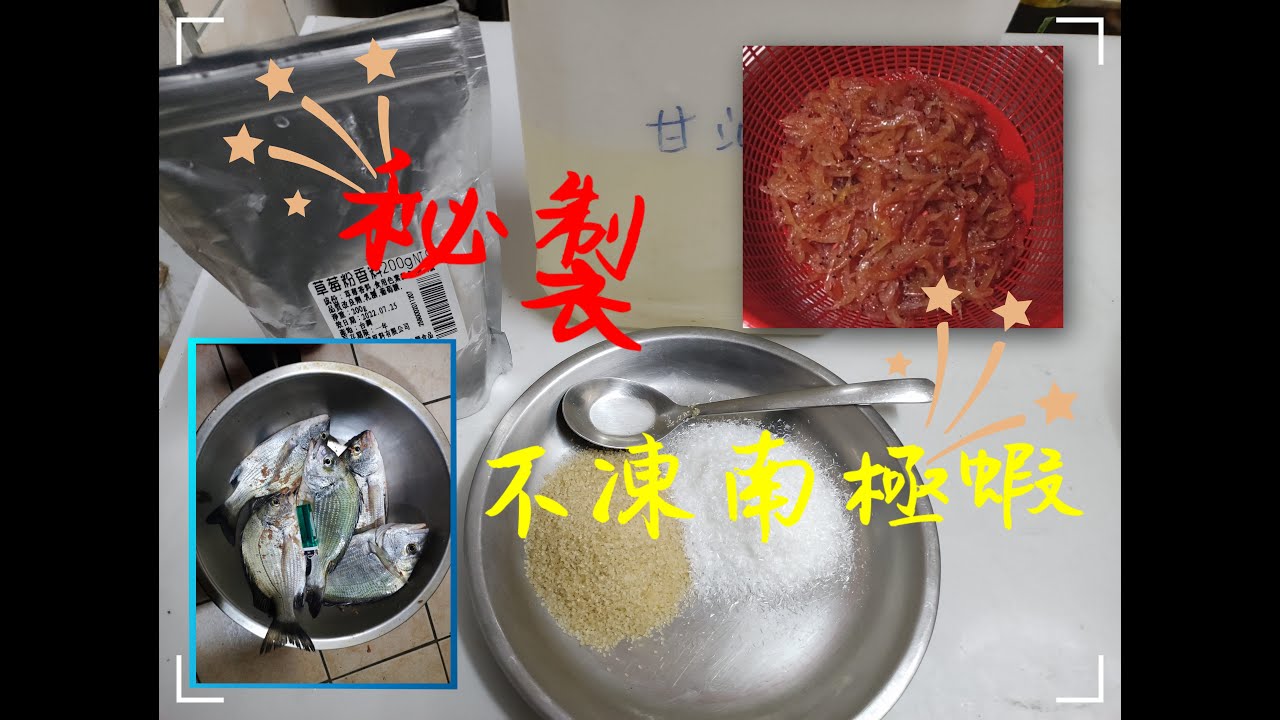 黑鯛必殺餌，不藏私秘製不凍南極蝦製作教學 #黑鯛 #磯釣 #南極蝦