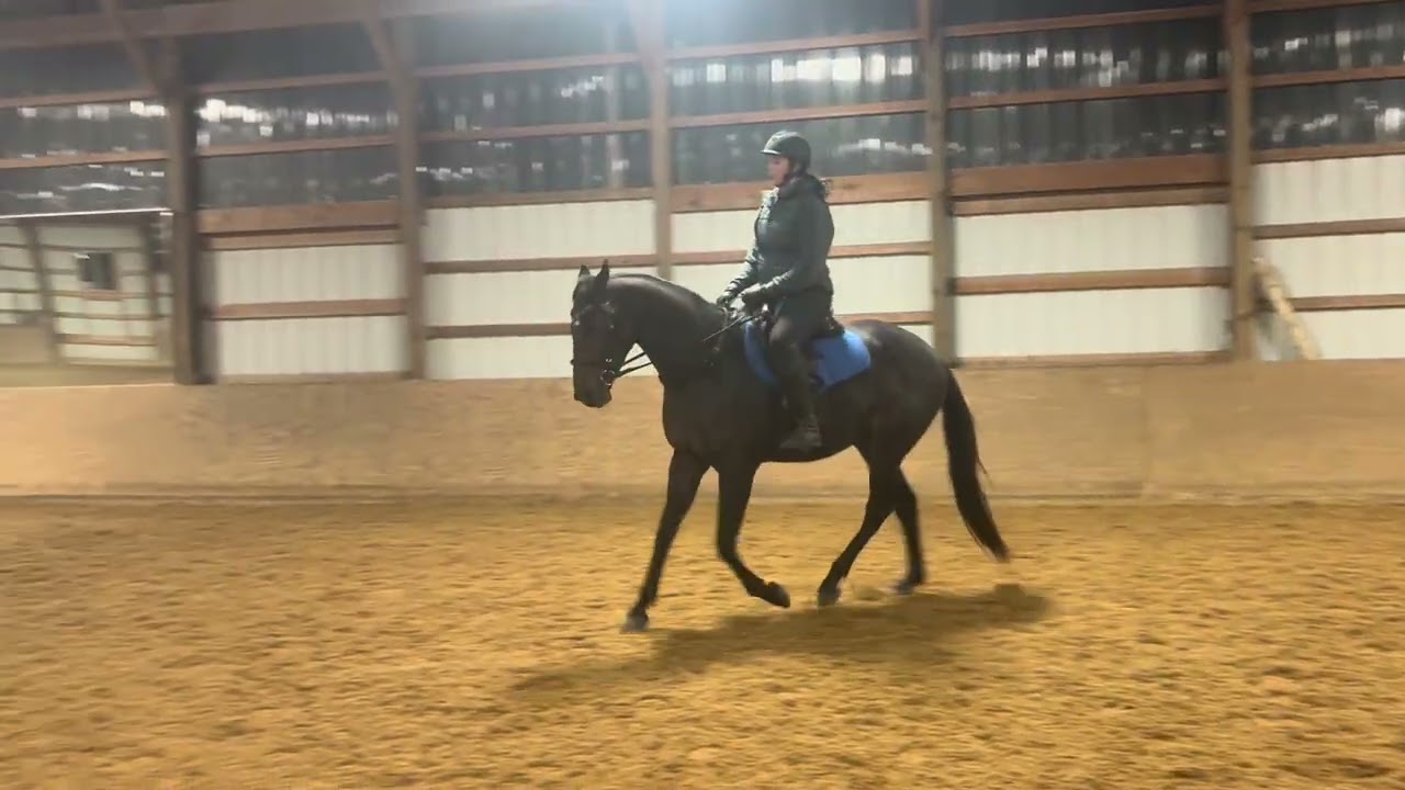 Halle Rust Riding Captain Perfect