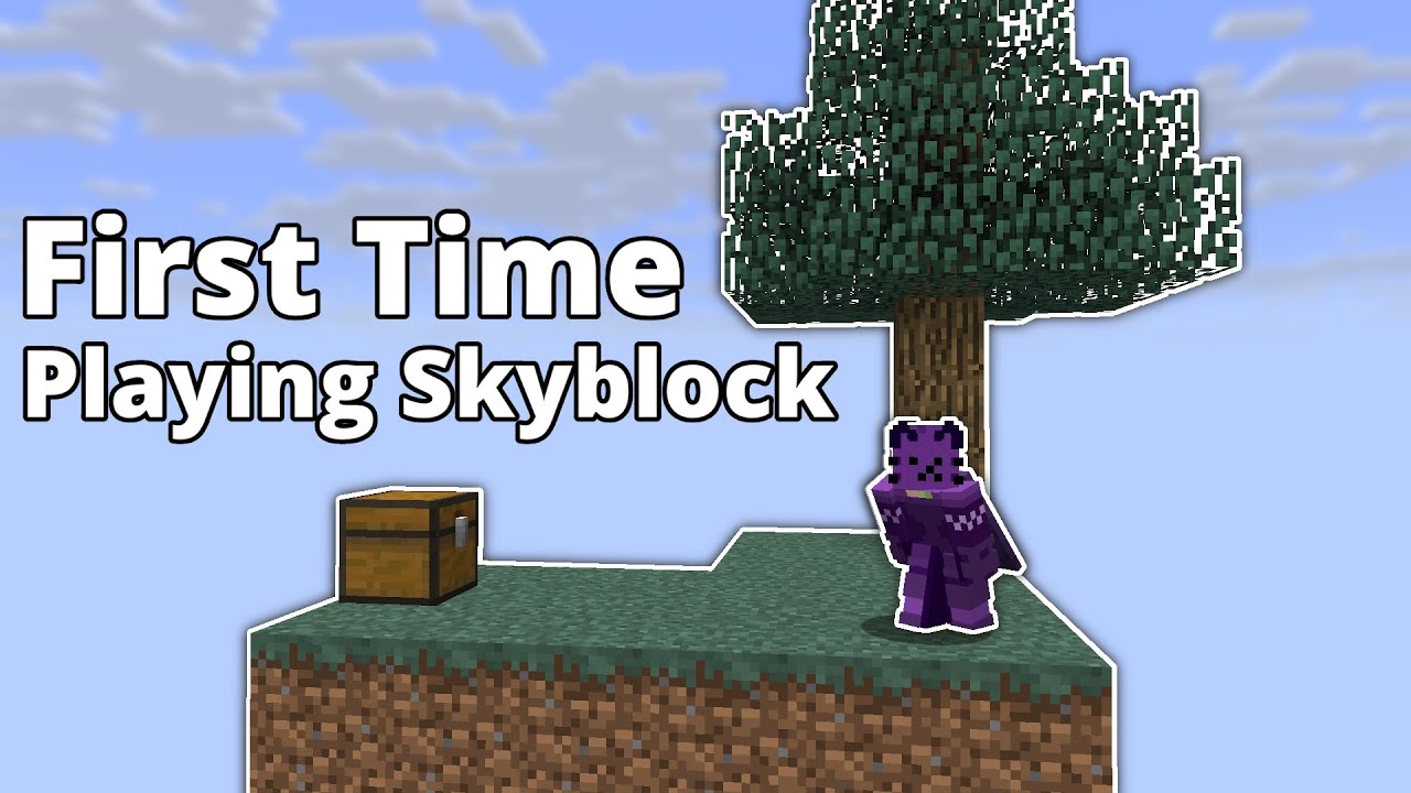 My First Time Playing Skyblock