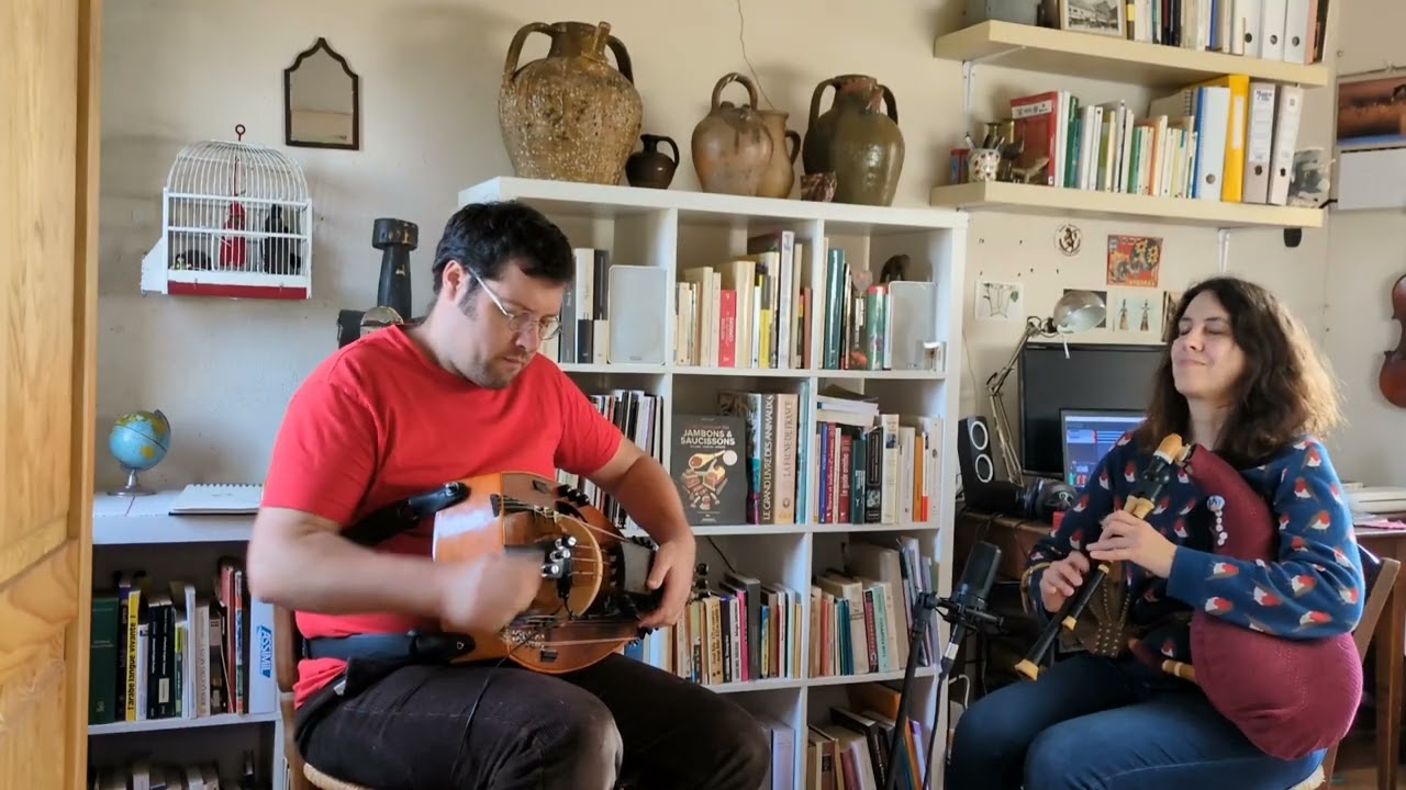 SONAIRES | La Tornà - Scottish des prés jaunis