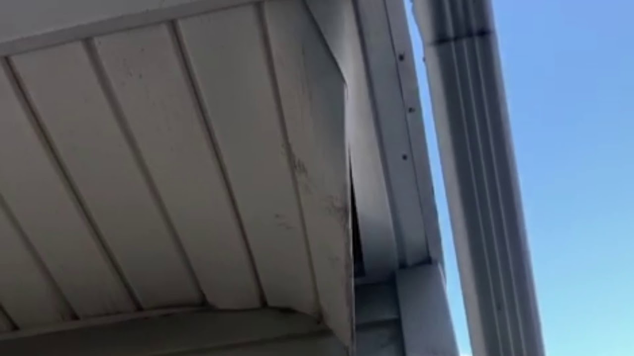 Warm Attic Attracts Raccoon in Oakhurst, NJ