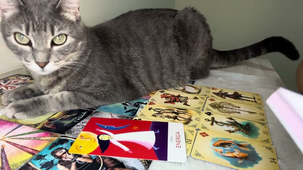 NOVO AMOR ou AMOR do Passado? O que está por VIR nos meus CAMINHOS? Tarot 🔮❤️✨