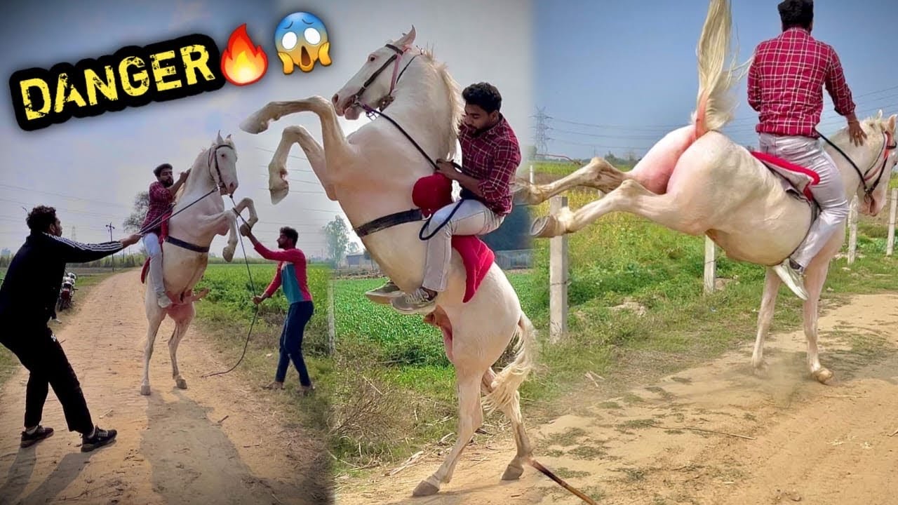 OMG😱Kabhi Nahi Bhulunga Is Ride Ko 😭😰Zindagi Ki Sabse Khoofnaak Ride Karli Is Nukre Ghode Ki 🙏🏻