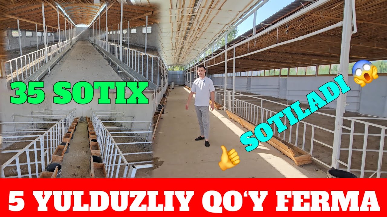 5 YULDUZLIY QO‘Y FERMA SANATORIYAGA O‘XSHAYDI SOTILADI. 35 SOTIX ZAMONAVIY QURILGAN SAUNA 4 XONA
