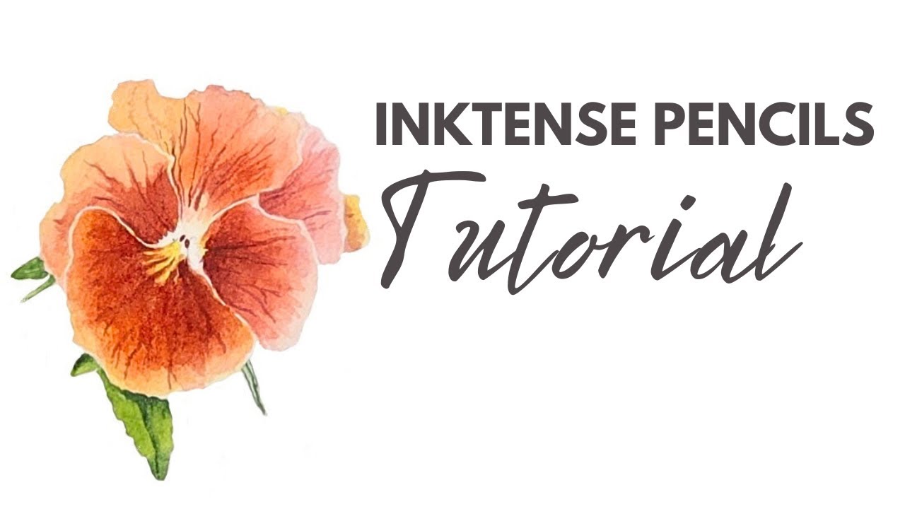 Botanical Painting using Inktense Pencils