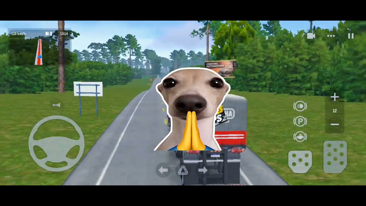 Fazendo uma viagem de caminhão pra fazenda areia dourada 😎⚡
