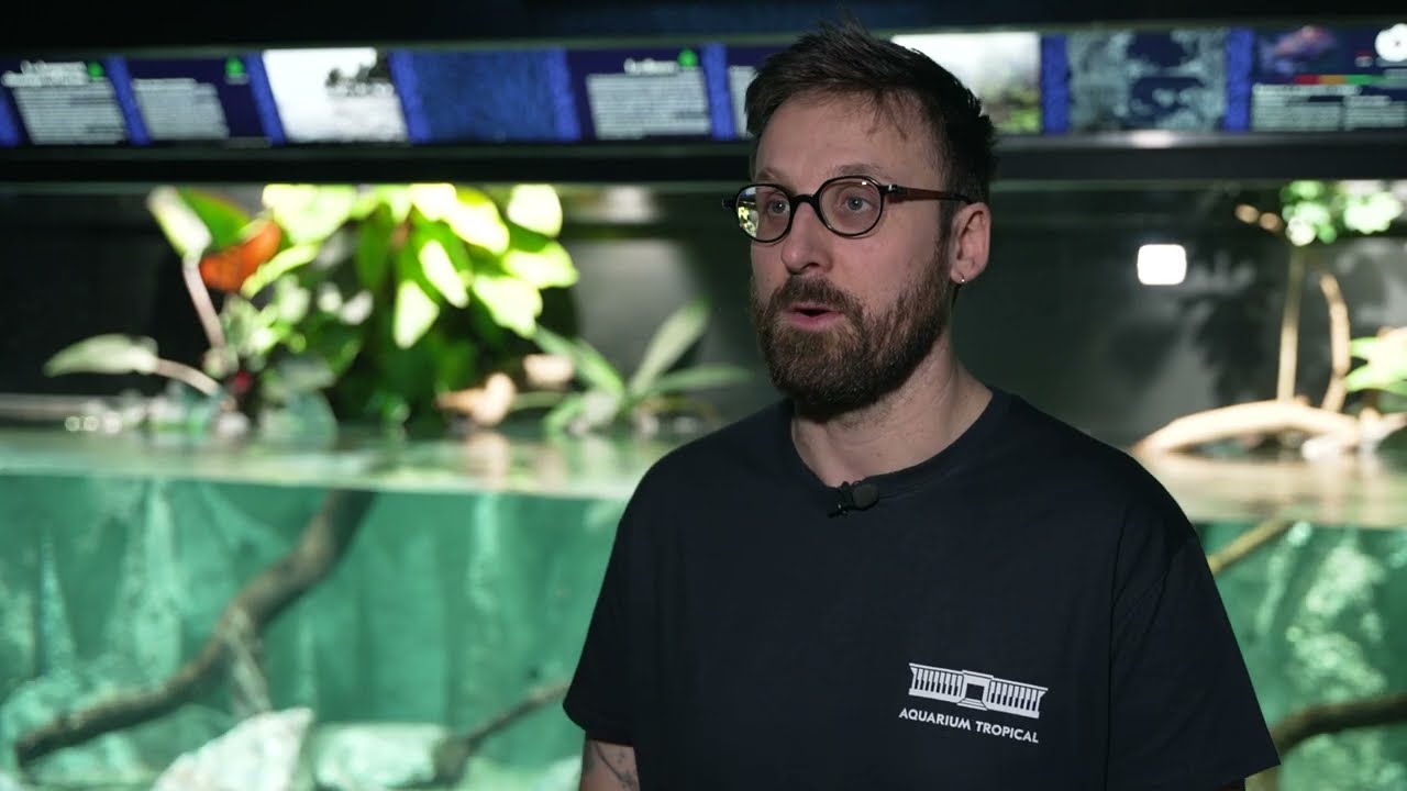 L'Aquarium se métamorphose 2/2
