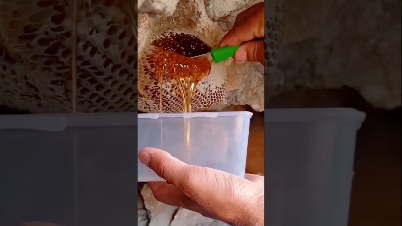 Satisfying RED Honey Harvesting 🍯❤️ | Pure Fresh Amber Flow #trending #shorts #honeyharvest