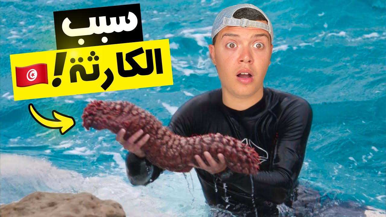 علاش معادش فما حوت في بحر تونس ؟