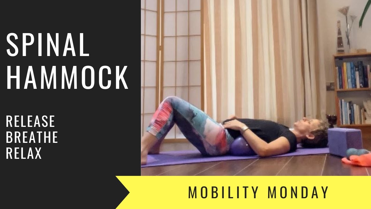 Mobility Monday - Spinal hammock