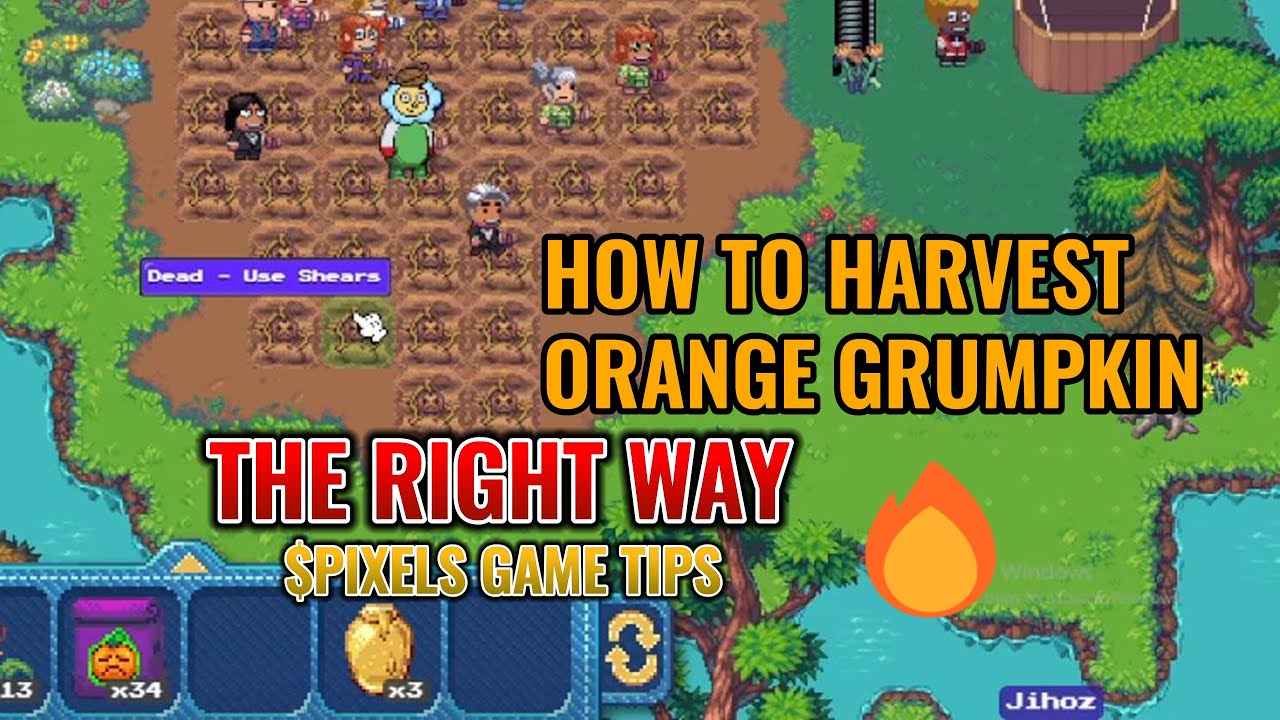 HOW TO HARVEST ORANGE GRUMPKIN