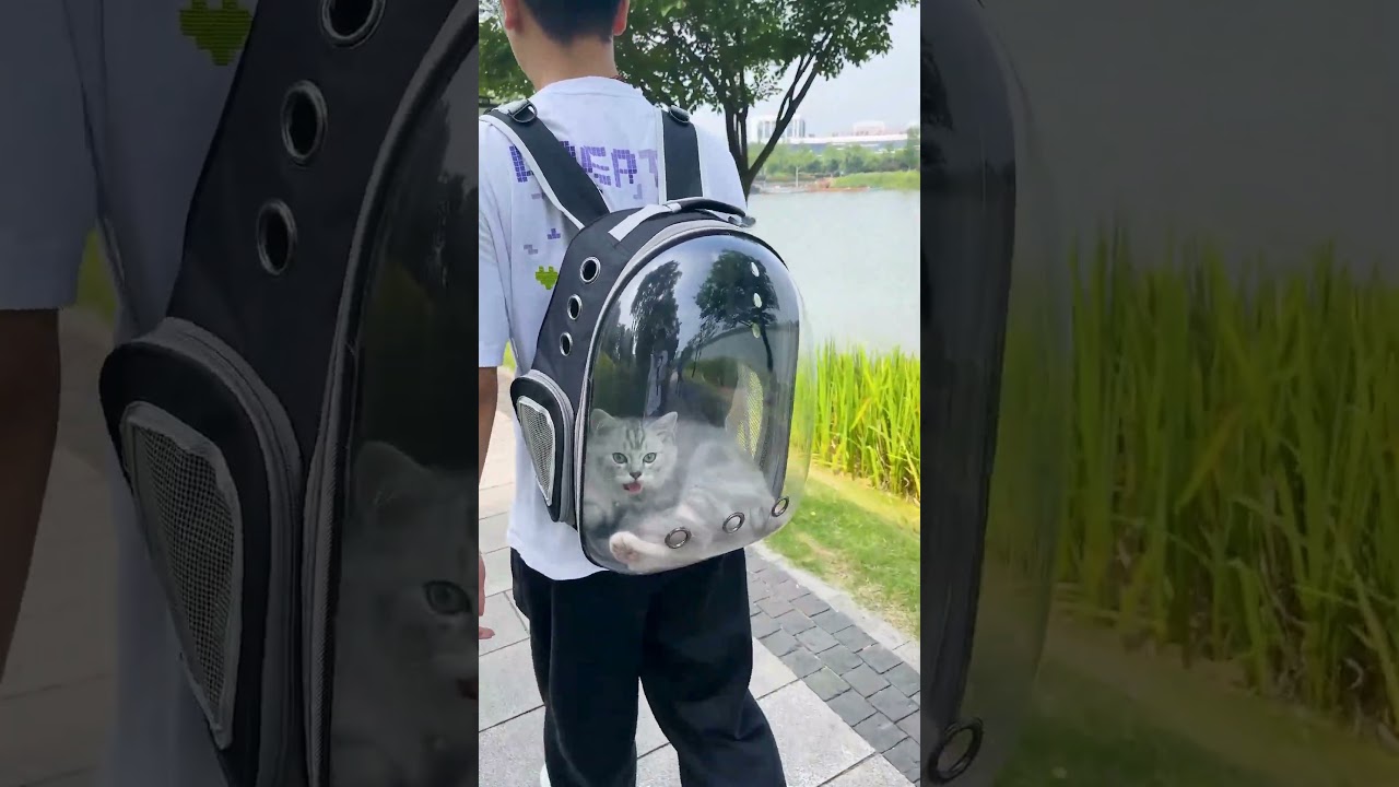 Polyester Airline Approved Cat Backpack Carrier | Breathable Bubble Travel Bag for Cats & Small Dogs