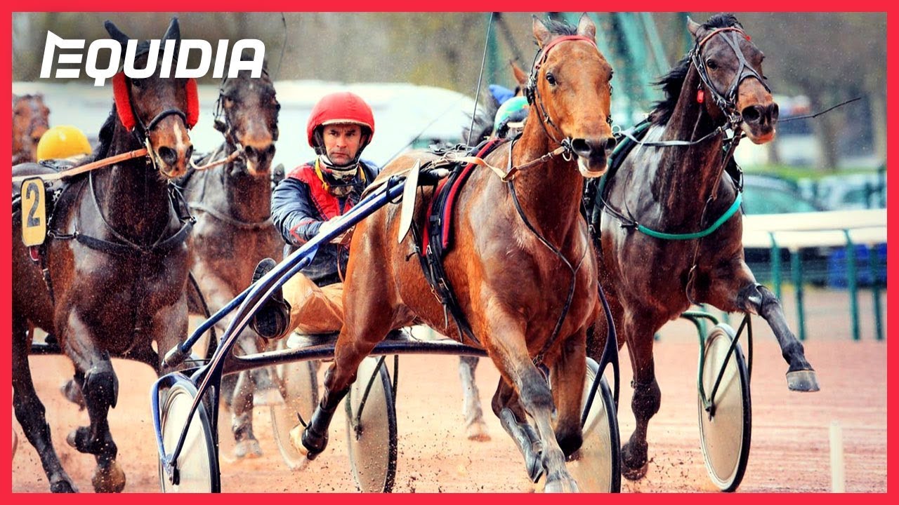 AUBRION DU GERS, NOUVEAU RECORD ! | 41ème Grand Prix du Sud-Ouest | 14/10/2018