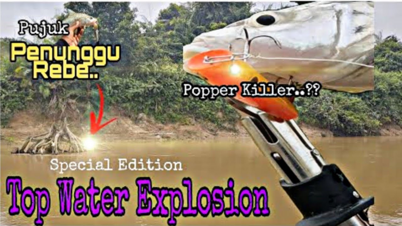 Letupan Padu Sebarau | CARA GUNA POPPER | How a Popper Works | Top Water Fishing |