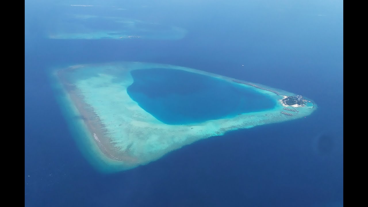 Maldive 2020 | SHARK | Maayafushi | Coral reef | barriera corallina | snorkeling | ATOLLO DI ARI