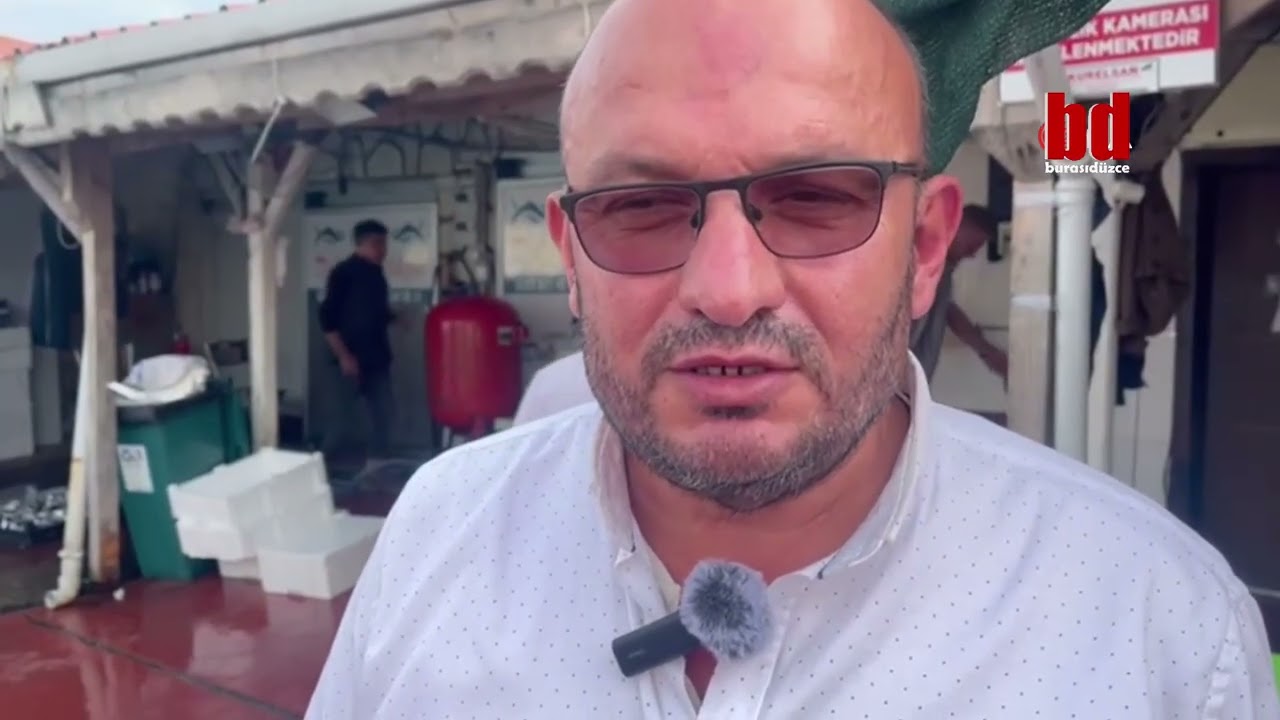 Akçakoca'da hamsi bolluğu
