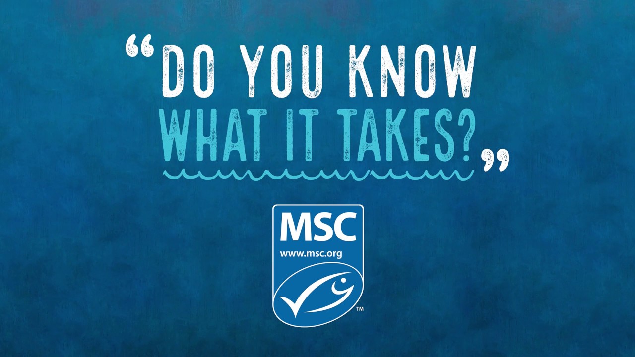 Sustainably fishing for hake off the Cornish coast | Marine Stewardship Council