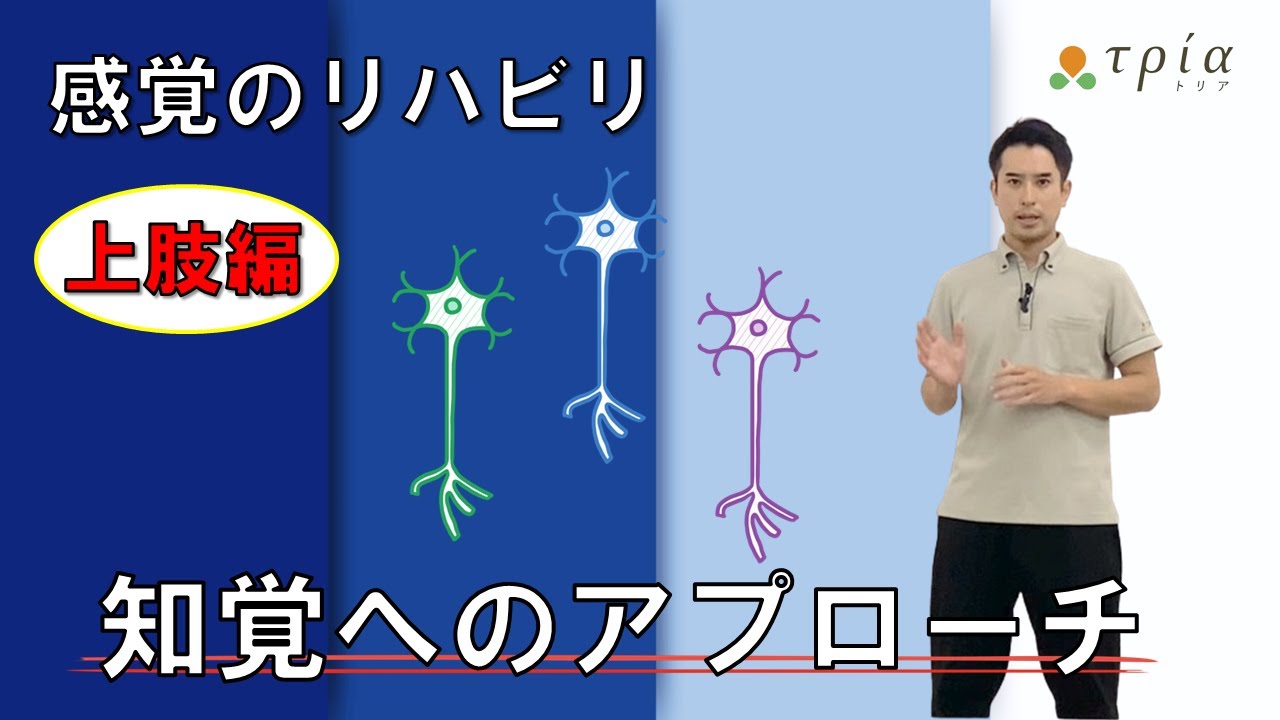 感覚のリハビリ/上肢編　知覚へのアプローチを促す