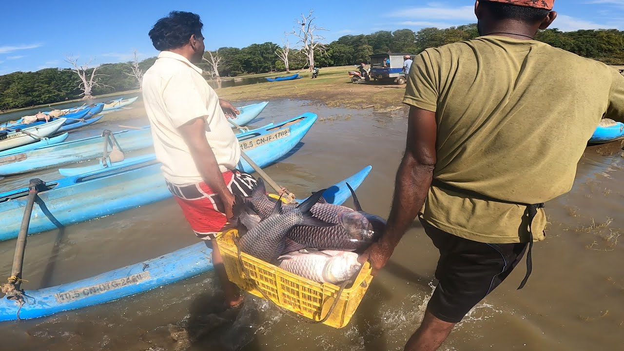 හම්බෙගමුව ඔරු