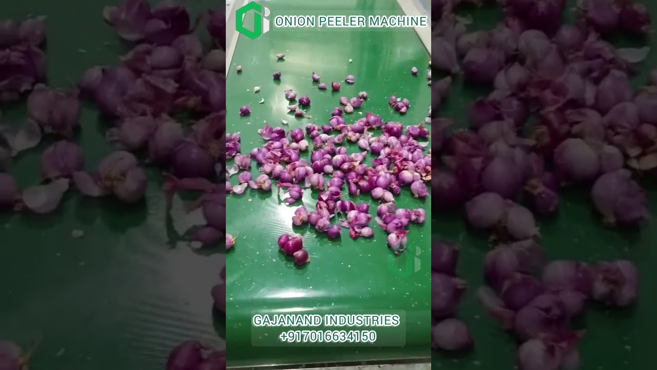 Onion peeler machine | onion garlic peeling machine | gajanand industries 