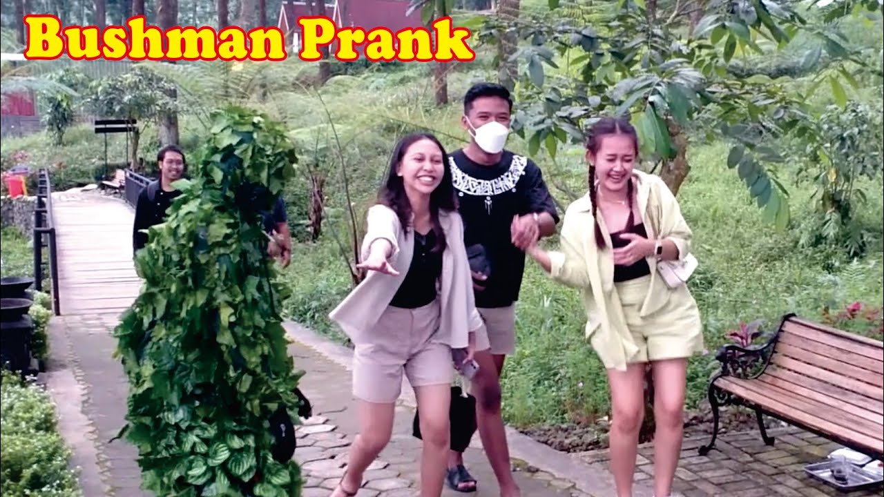 Ketika mereka menjerit dan tertawa || Funny Bushman prank