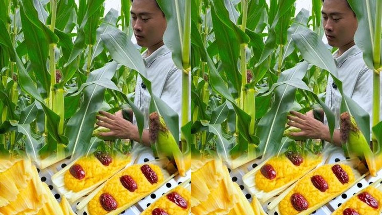 Corn cakes are delicious, but wild boars ate the corn. How to prevent? #New Farmer Plan 2024