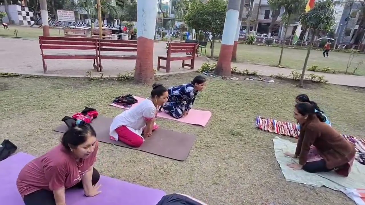 सिंहासन थायरॉइड या गले संबंधी रोगों में लाभदायक 