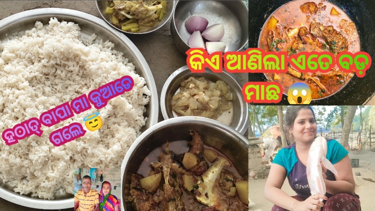 କିଏ ଆଣିଲା ଏତେ ବଡ଼ ମାଛ 😱||ହଠାତ୍ ବାପା ମା କୁଆଡେ ଗଲେ @Anu_lifestyle35 #dailyvlog #odiavolg #vlog 