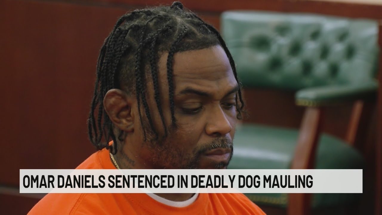 Albany man sentenced for negligent homicide in deadly dog attack
