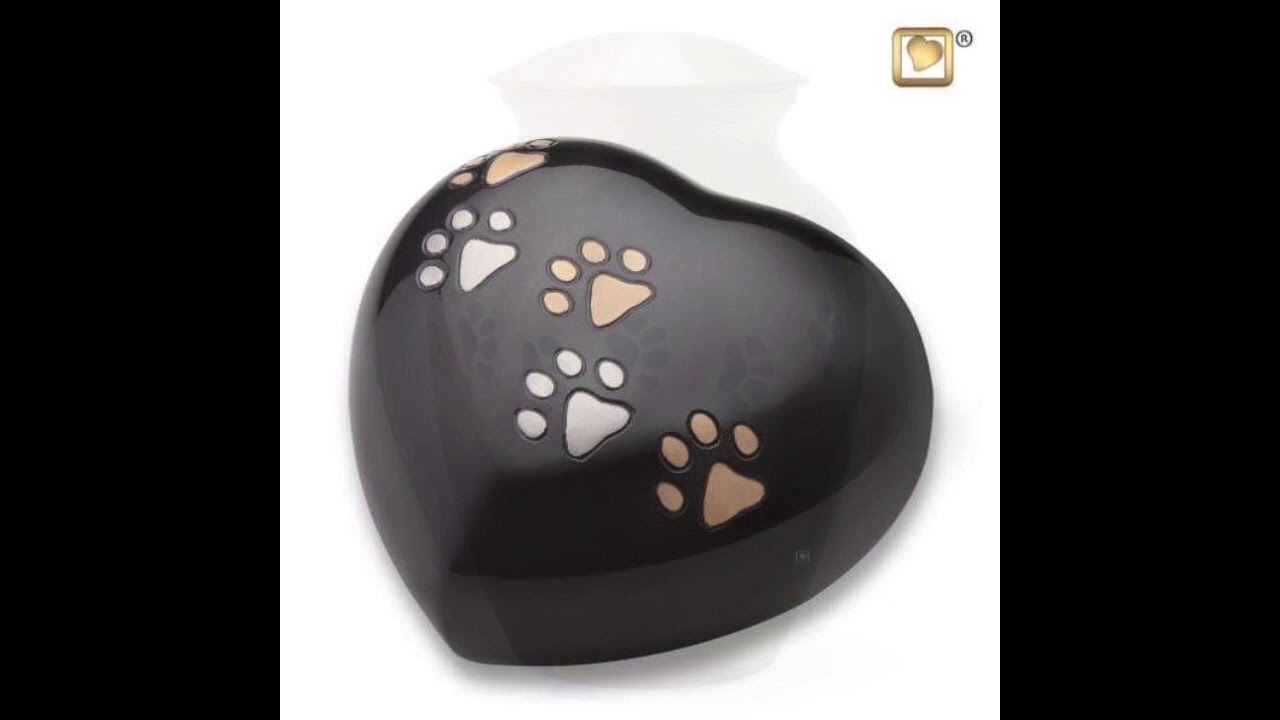 How Much Does It Cost to Cremate a Dog?