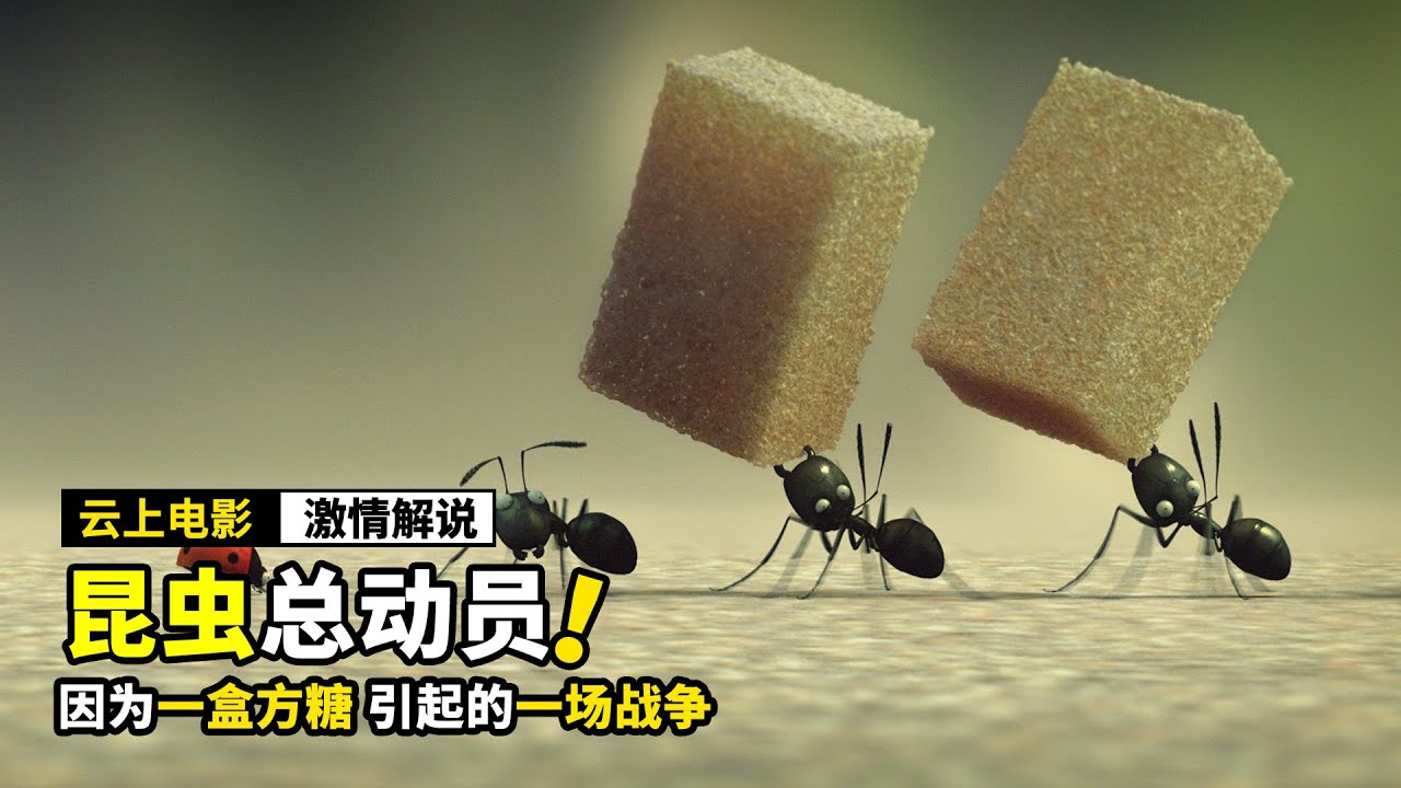 因为一盒糖，引起了蚂蚁的世纪大战，动画电影《昆虫总动员》